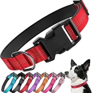 Collier Chien Réfléchissant avec Boucle de Sécurité - Tailles S à L