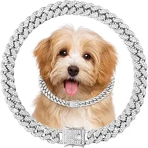 Collier Chien Chaîne Argent Strass 12 Pouces - Collier Luxe Chien Moyen