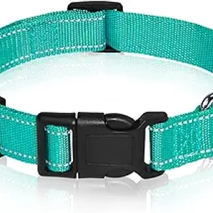 Collier de chien réfléchissant ajustable - XS à XL