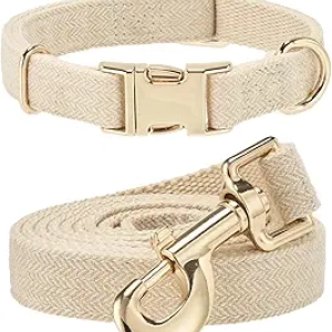 Collier et Laisse pour Chien Ajustable en Chanvre - Petit, Moyen, Grand Chien