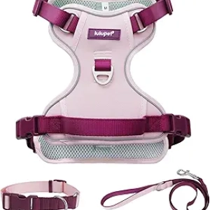 Harnais Anti-Traction pour Chien Rose S + Laisse + Collier - Ensemble Complet