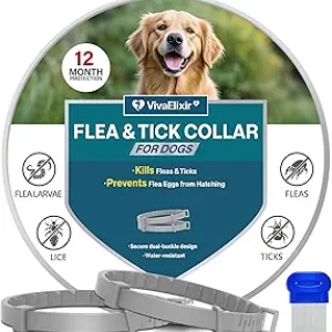 Collier Antiparasitaire Chien 12 Mois - Protection Puces et Tiques Waterproof