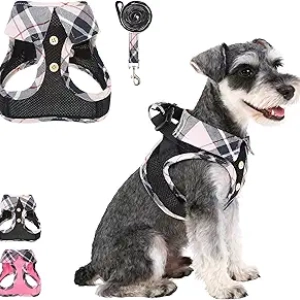 Harnais pour petit chien KOOLTAIL - Gilet respirant sans traction taille S