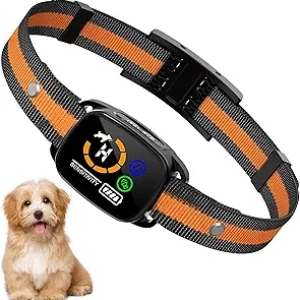 Collier Anti-Aboiement pour Petit Chien sans Choc - Dressage Intelligent