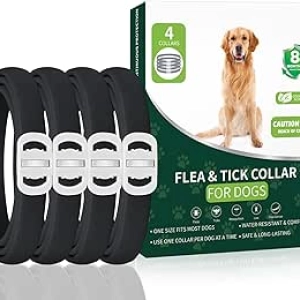 Collier Antiparasitaire Chien 4 Pack - 32 Mois de Protection Puces et Tiques