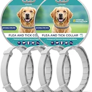 Collier Anti-Puces Chien Naturel 8 Mois - Waterproof & Ajustable (4 pièces)